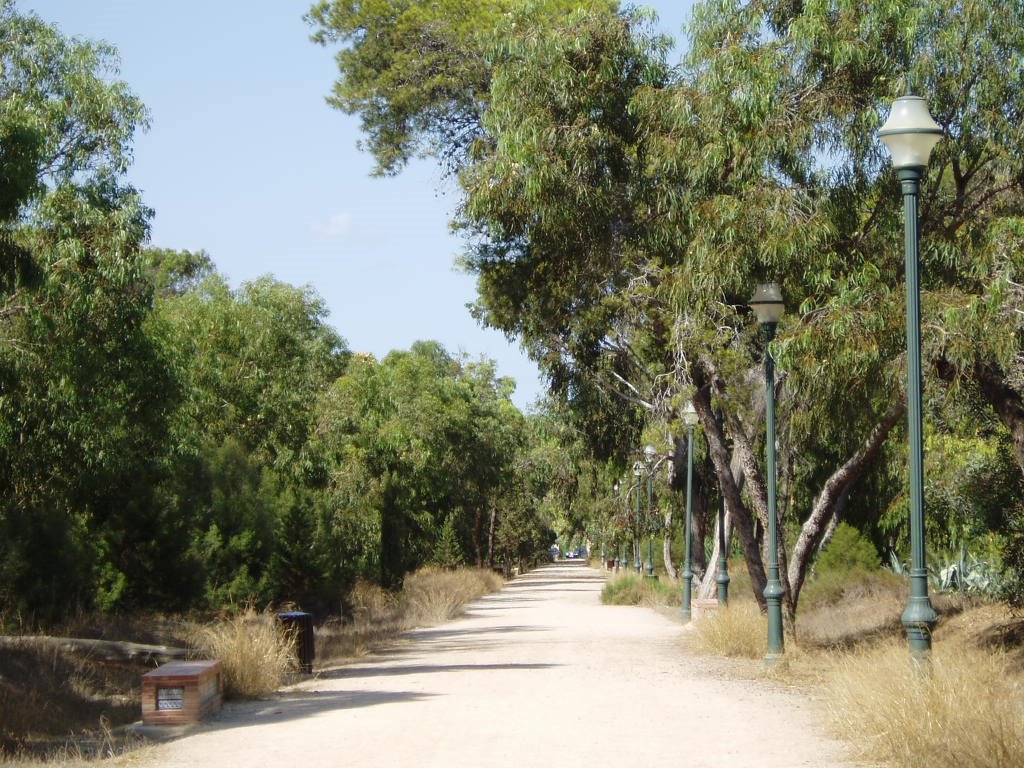 Paseo del Parque del Rey español Alfonso XIII de Borbón by xabier3007