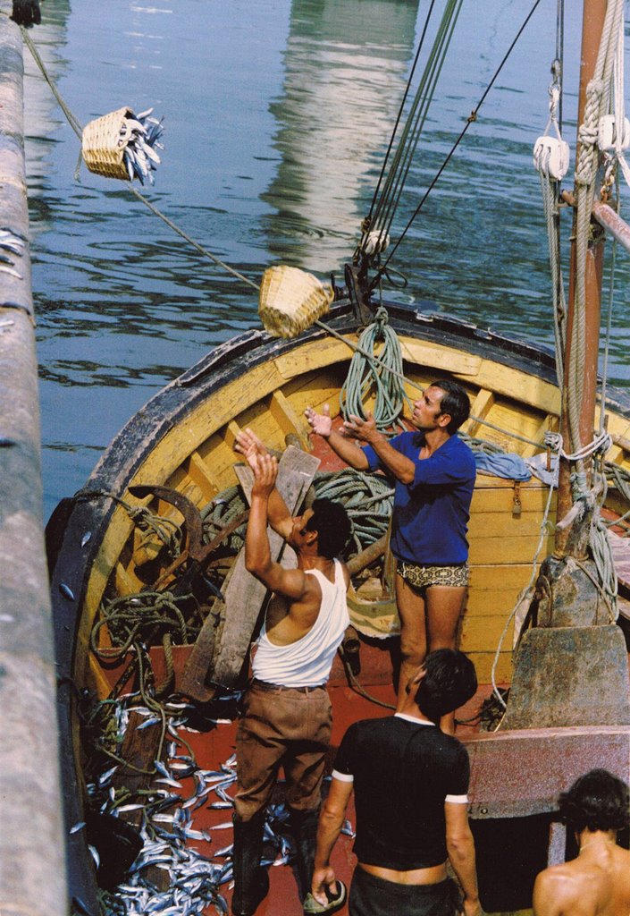 When sardine arrived by aerial means to the Lota of Portimão (Anos 80) by FreiGurita