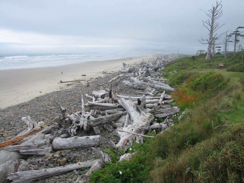 Cape Meares Beach, Oregon 2008 by quarck