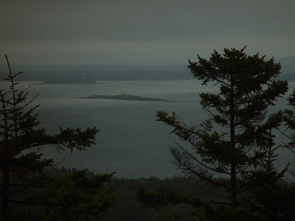 Frenchmans Bay From Acadia National Park by Sean Meesenburg