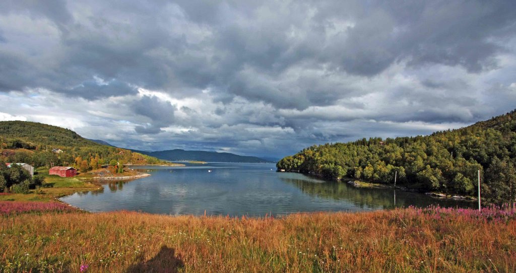 Salangen, Norway by Stefano gramitto ric…