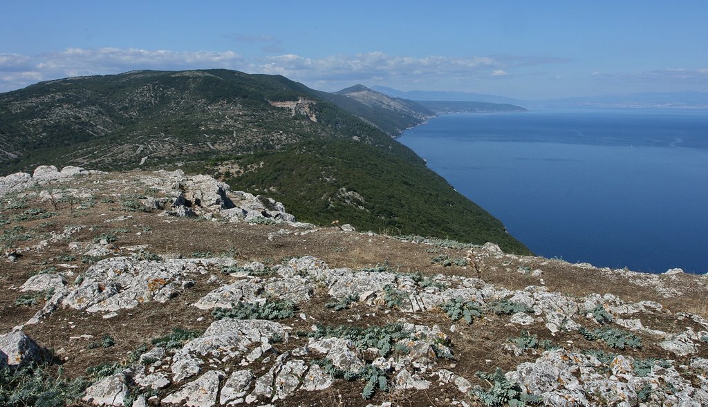 Cres to Rijeka 17.09.2008 Oba su imena Apsoros (Apsirtide) i Krepsa grecizirana ilirska imena. by Vladimir Tkalčić