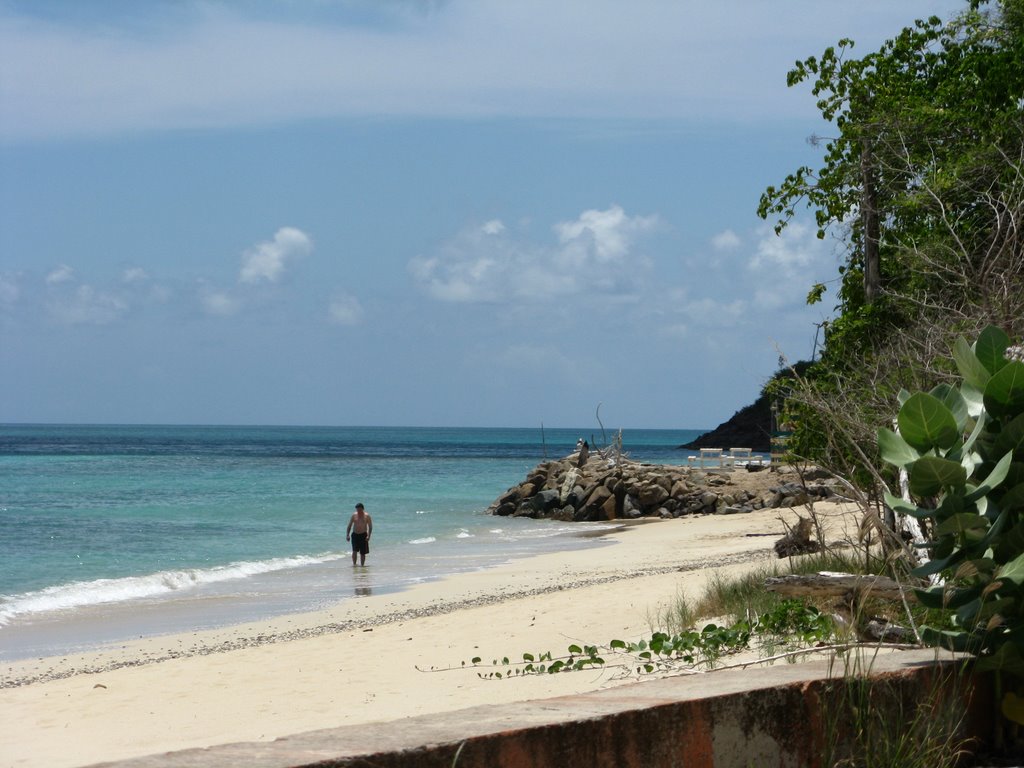 Darkwood, Antigua by Natalya Lawrence_AntiguaBreeze