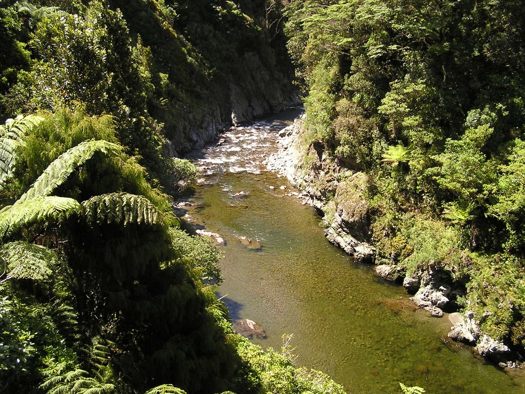 Blick von einer Brücke in Rivendell, NZ by DER KLEINE FUCHS