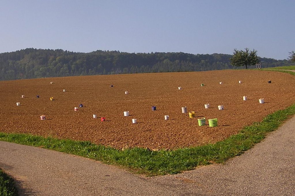 Farbenspiel in Wölflinswil by bauer2000