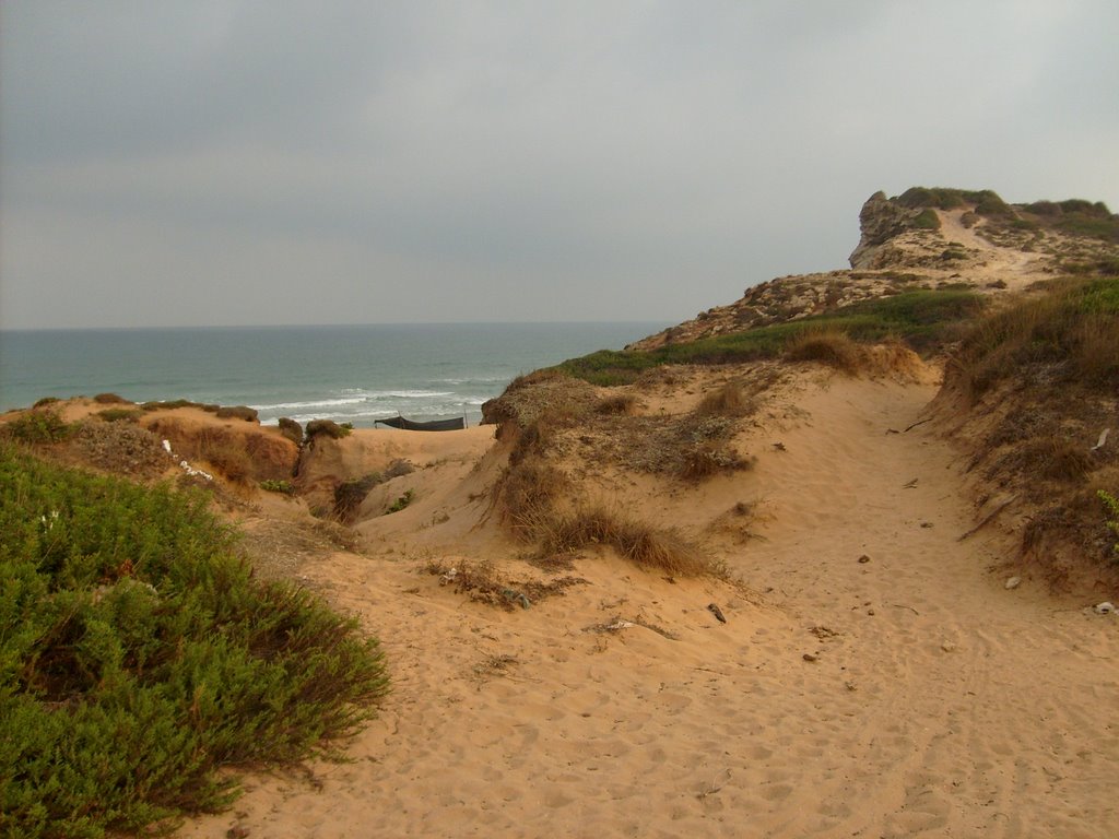 Hazor Nature Reserve by michael*melech