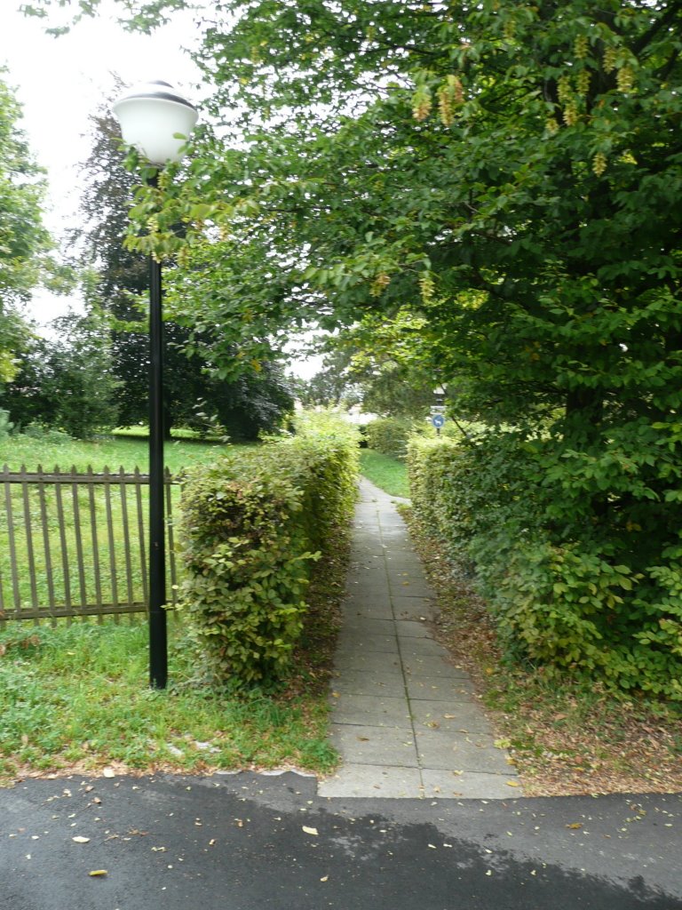 Chemin menant au château du chemin des traités by Tannay