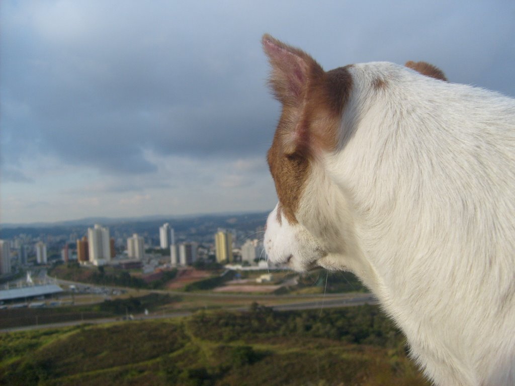 Vista pedra da bruxa by riscobdf