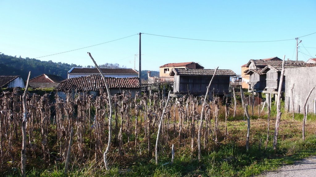 DMG - Vista de Piñón by DMG1958