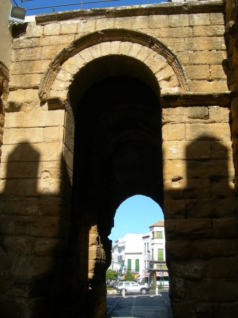 Puerta de Sevilla by Erzigoto