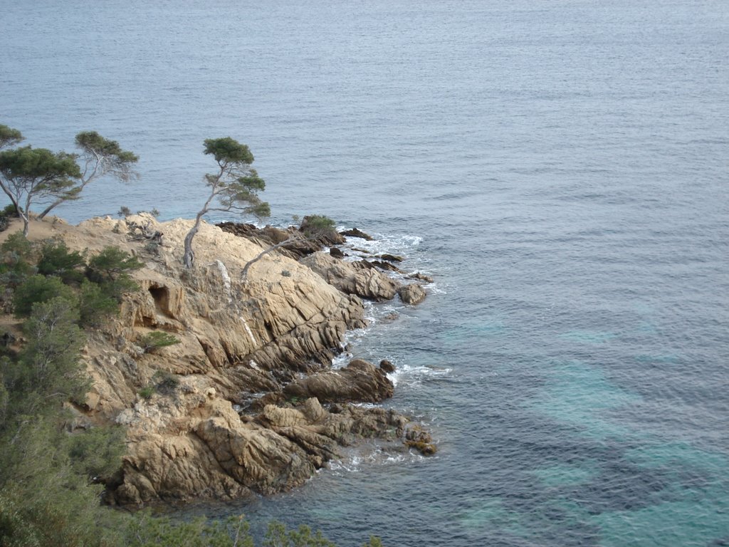 Pointe du Layet Reef - March 2007 by Marc Werner