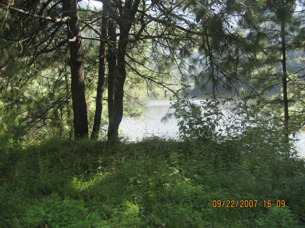 Laguna en medio del bosque, Zempoala by fam_mir_ga