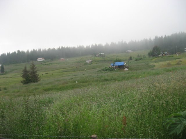 Trabzon,Çarşıbaşı,Yavuzköy;GÜZELYAYLA13.07.2008 by Muzaffer BAKIRTAŞ