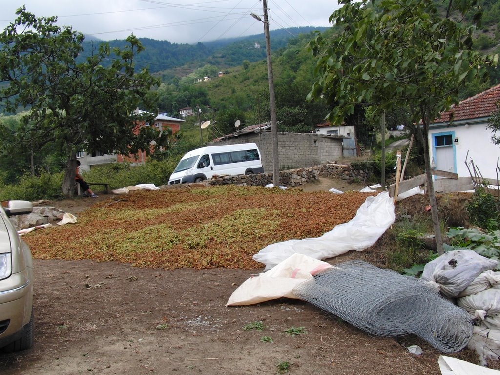 Hızarlı,harmanlar. by Ilhan Parçalı