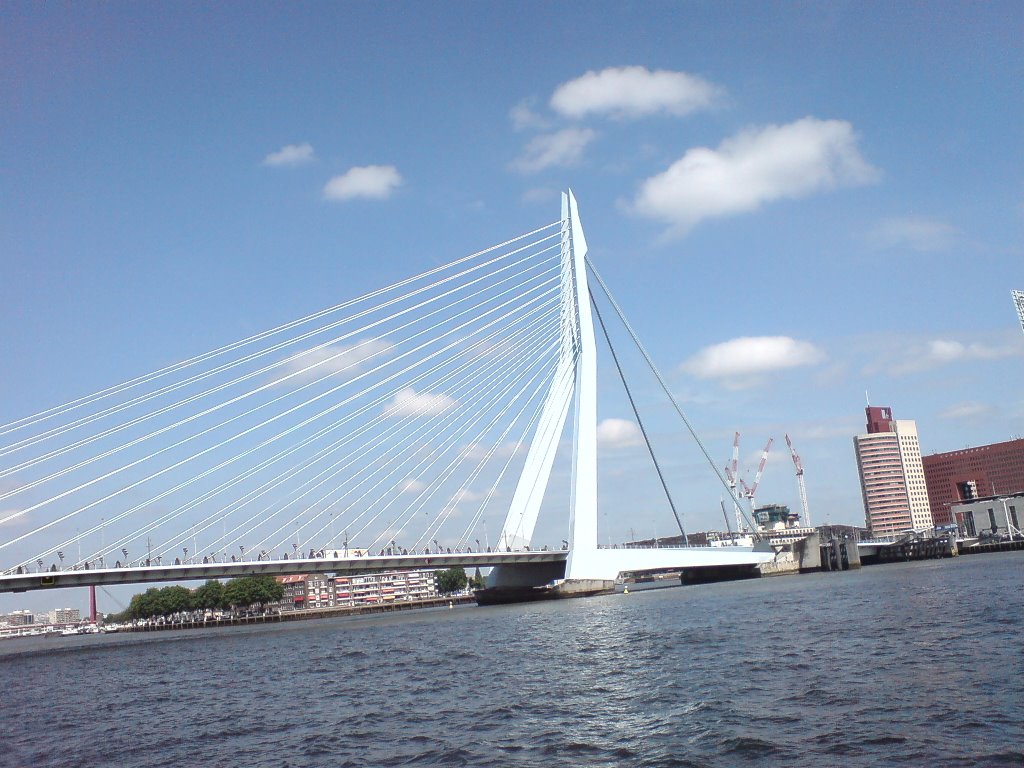 Erasmusbrug by Duyf