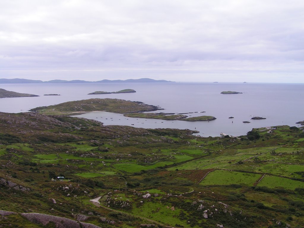 Looking to Darrnane Harbour by Mike Shields