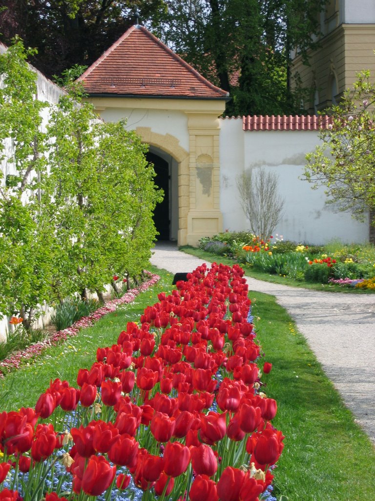 Im Schlosspark Dachau by Alois Sturm