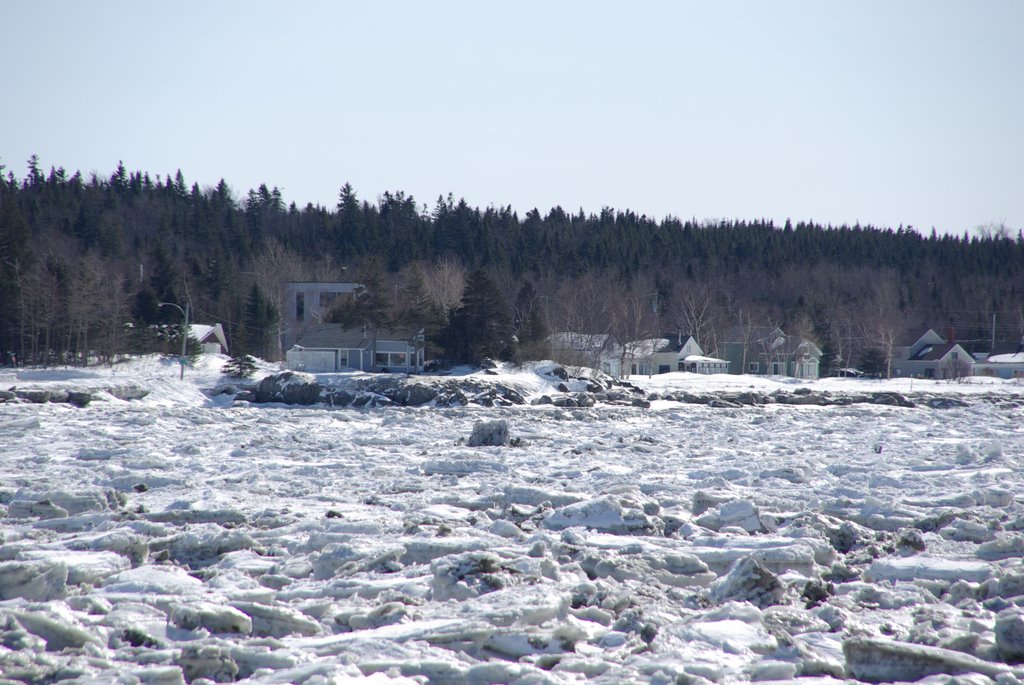 Rivière Ouelle en hiver by nicoleG