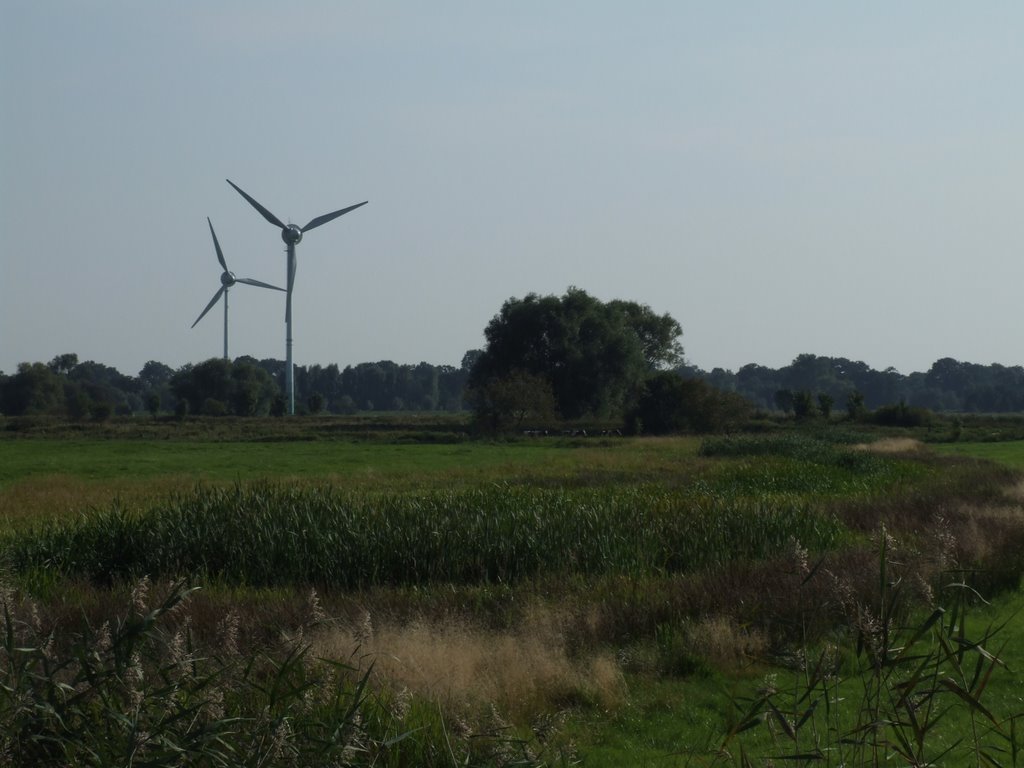 Sandhausen, Blick in die Landschaft? by mhickl