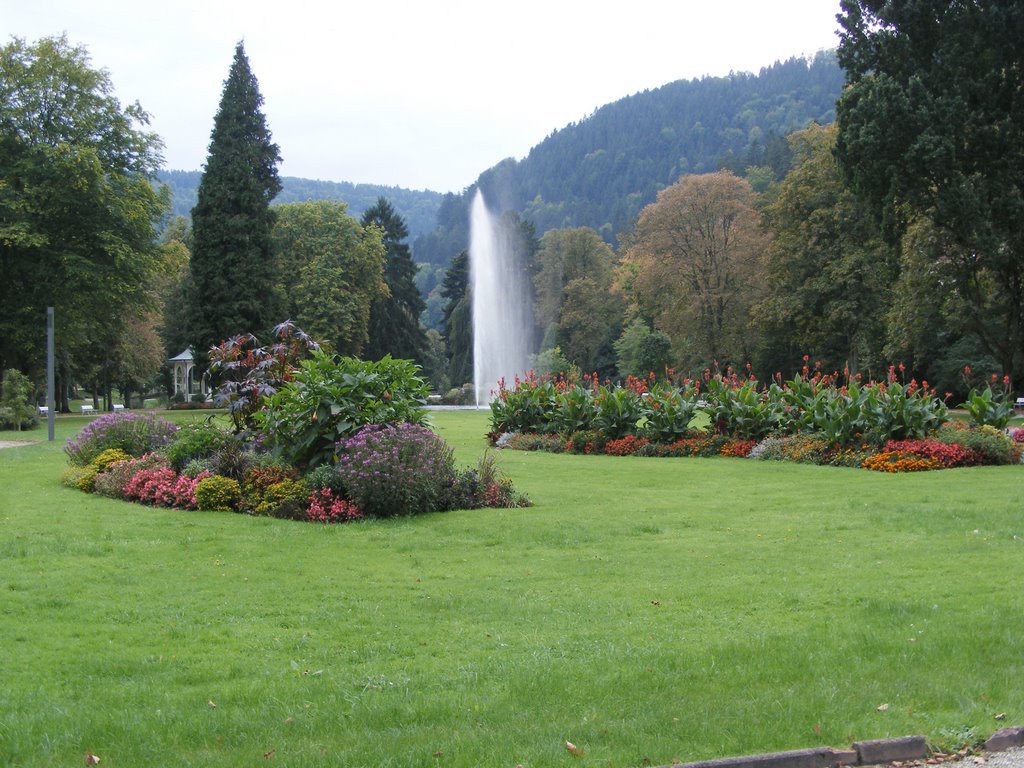 Fountain, Bad Lipenzell by Roddy McNeil