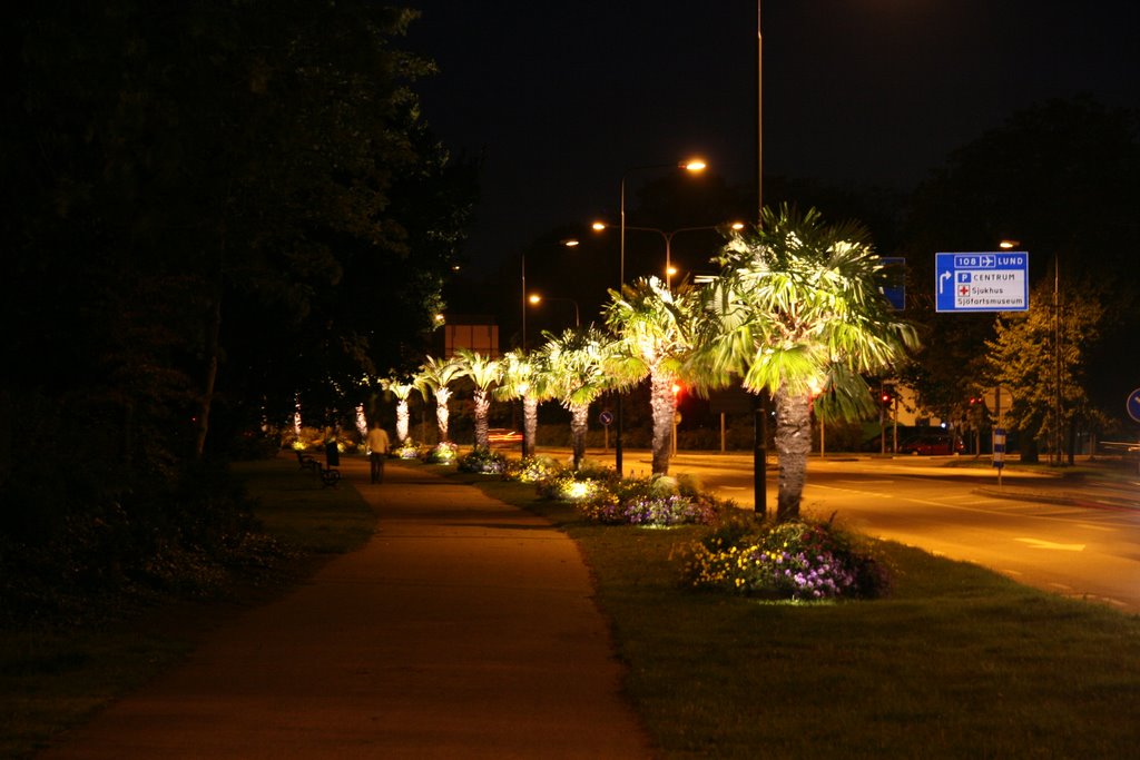 Palm trees in Trelleborg, Sweden. Night by Kh-Oleg