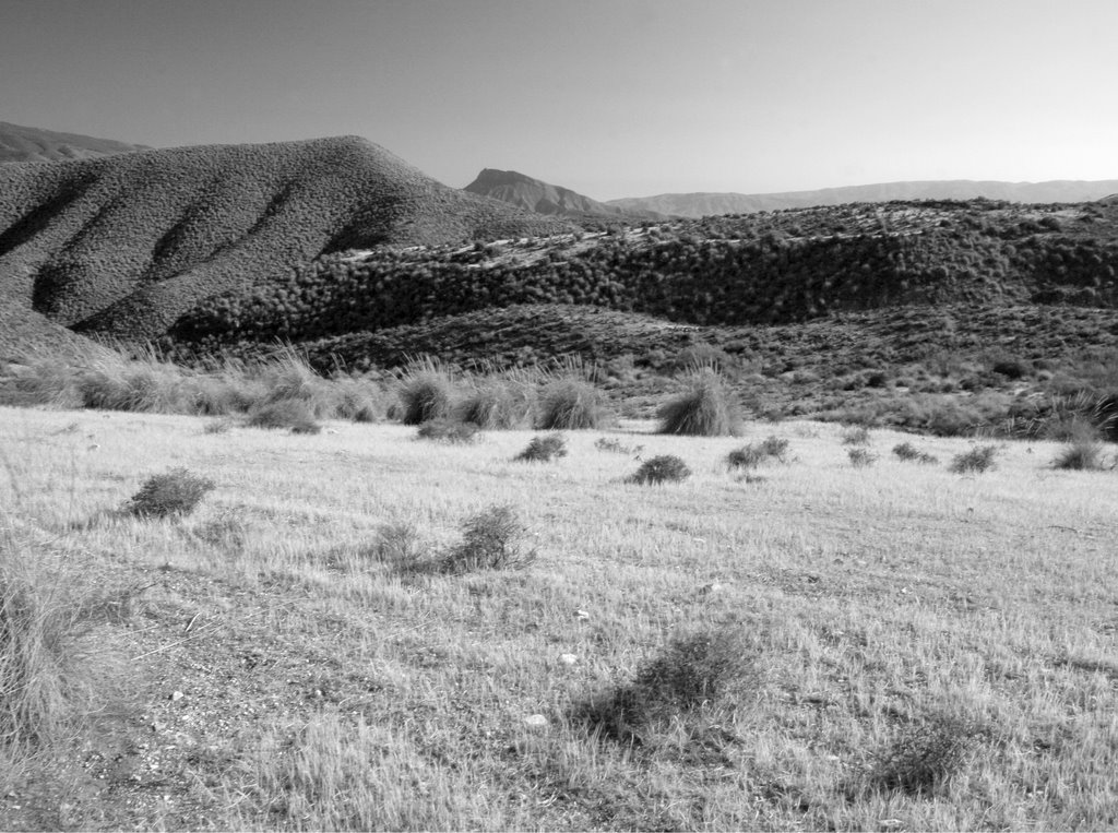 Tabernas by bacwave