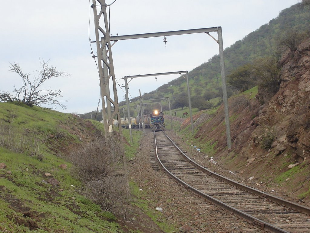 Tren en Las Blancas PK. 74 by ferrofreddy