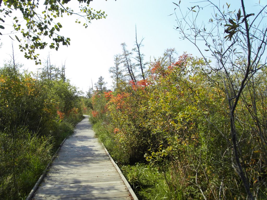 Tamarack Nature Preserve, Woodbury MN by nkovac1