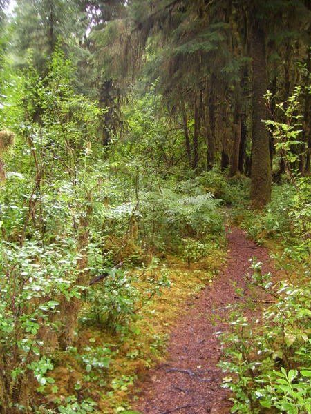 Off the beaten path by Ruth Jensen