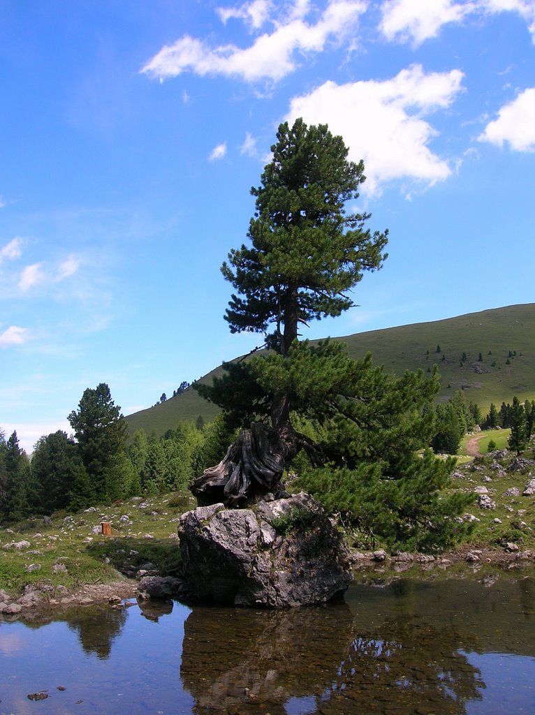 Passo Sella, Stone City, Italy by WilliamR