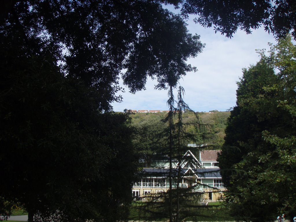 View from Ventnor botanic gardens, Isle of Wight by sashko-alex