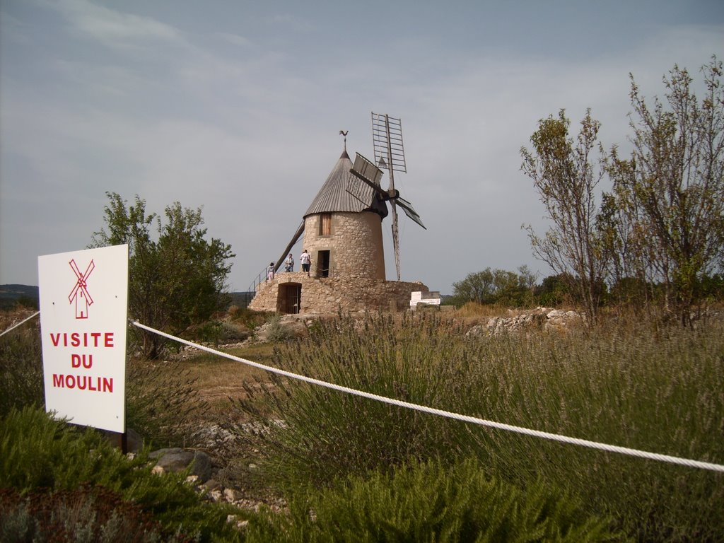 Windmill at Cabrespine by Phil Miles