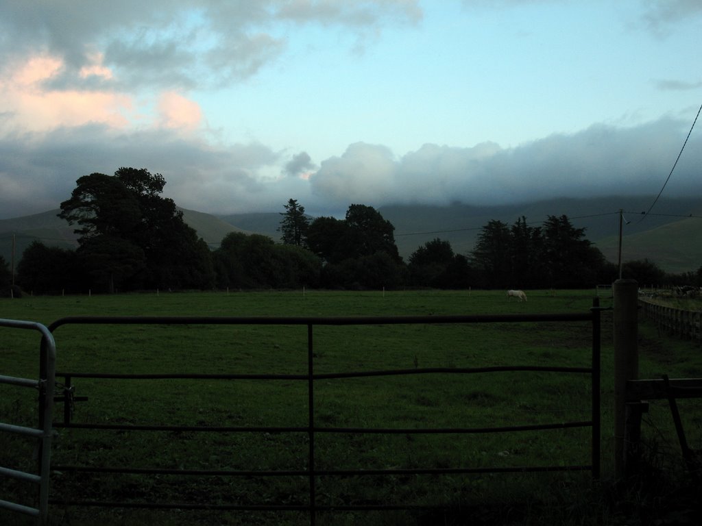 Glen of Aherlow by ankiepankie