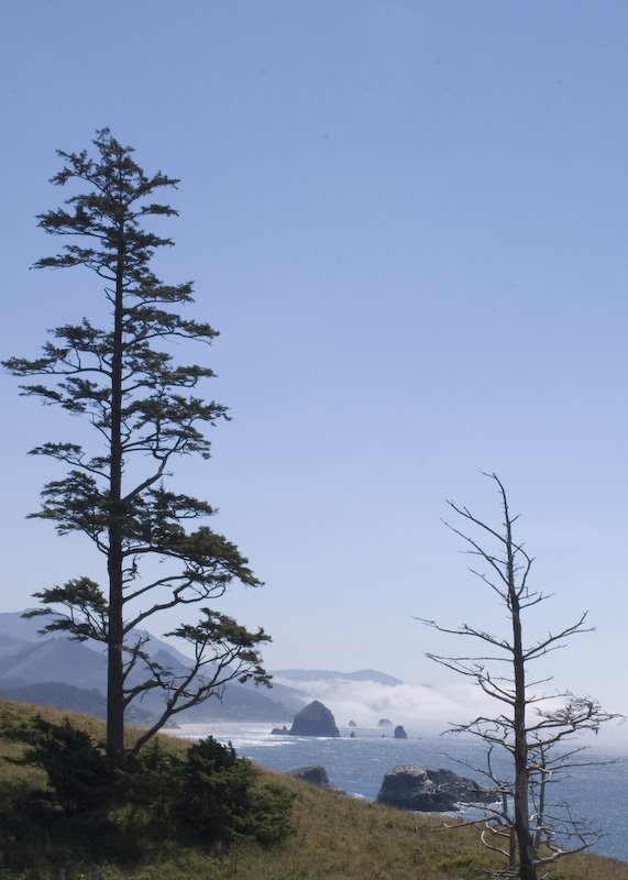 View of Cannon Beach, Ecola State Park, Cannon Beach, OR by Jeff Brown