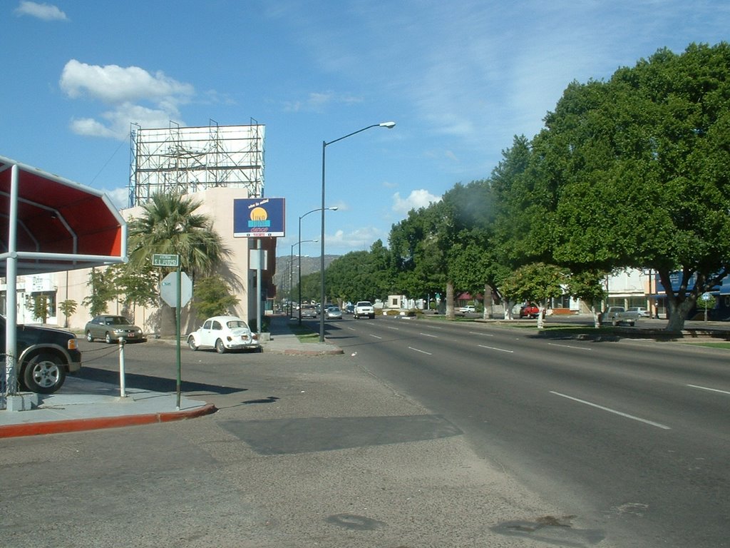 Calle en Hermosillo by Brian Carney