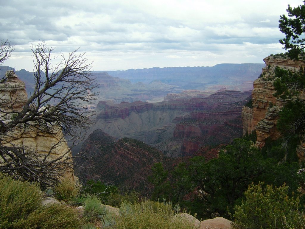 Grand Canyon by Peter Wright