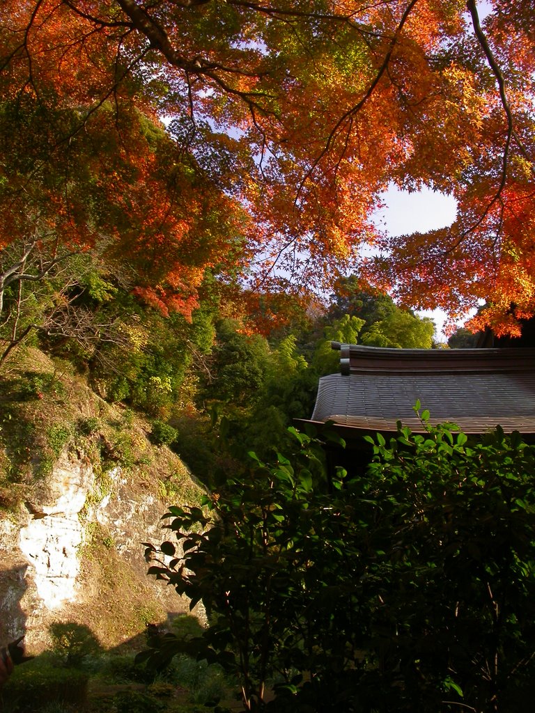 Zuisenji Temple by k shibata