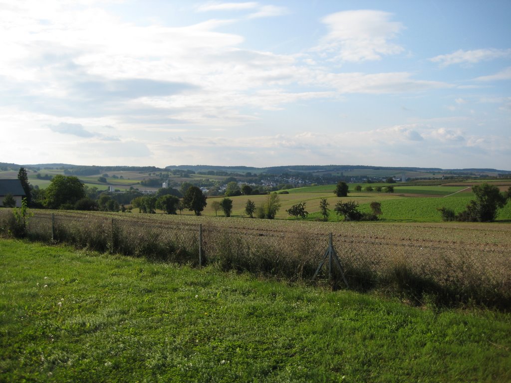 Blick auf Gondelsheim by zeroq76