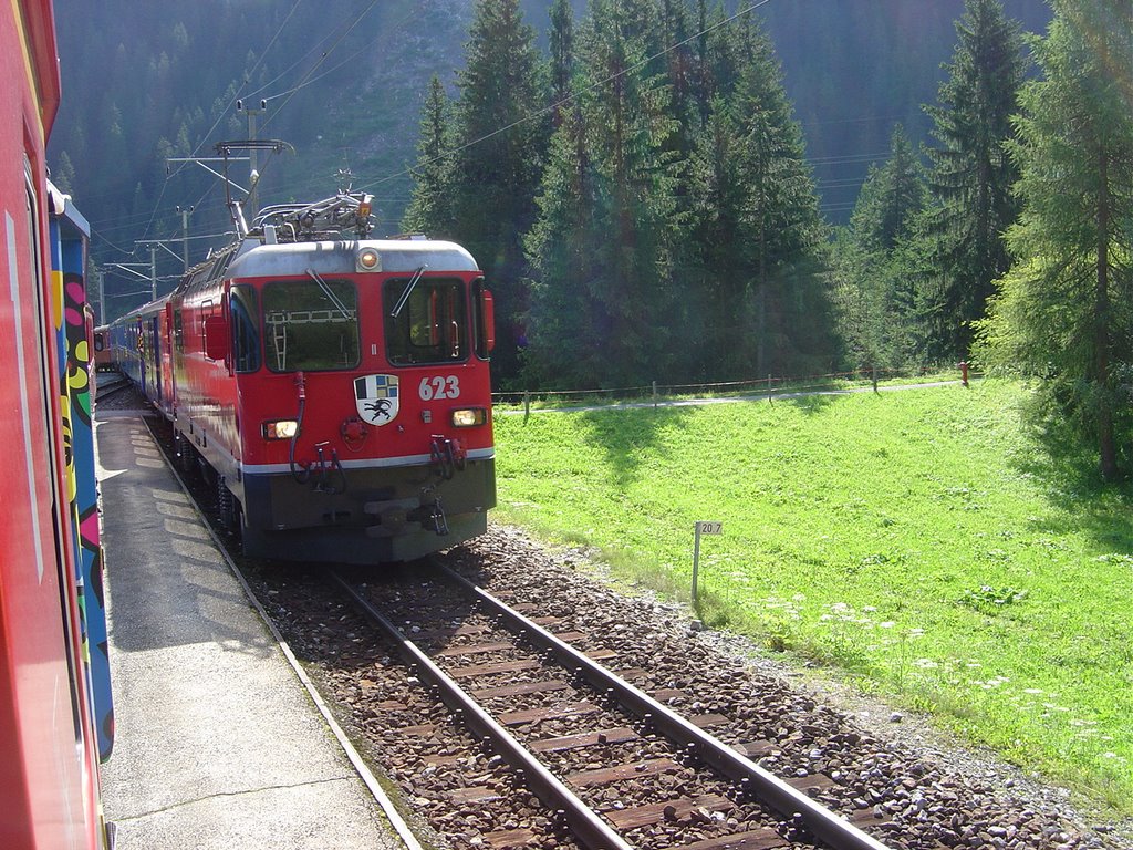 Train from Arosa to Chur / Switzerland by RSpindler