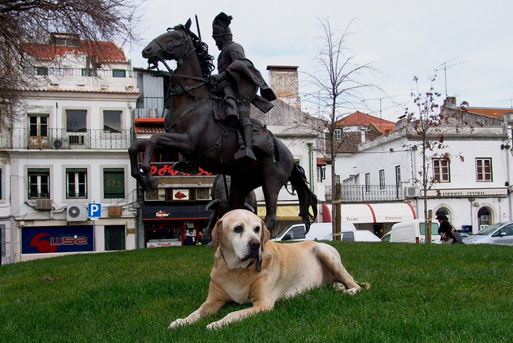 Joli, o Cão que era parte da Cidade by Eugénio Goliardo