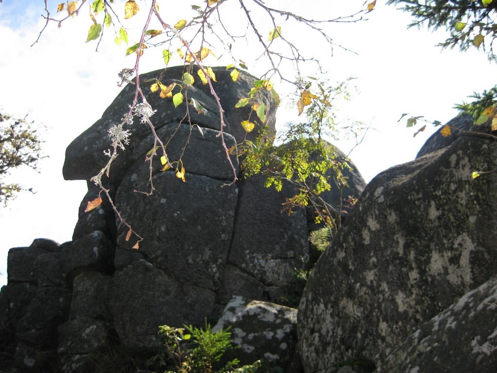 Le Rocher des fées, vu de l'ouest by Jan Matthieu