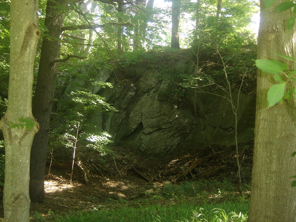 Sachem Rock (old meeting site) by chris1073