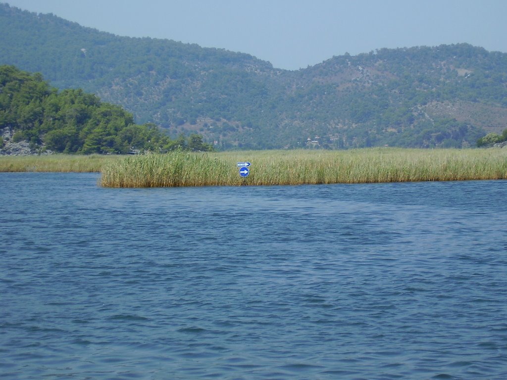 DALYAN-TEKYÖN! by T.Kazanoglu