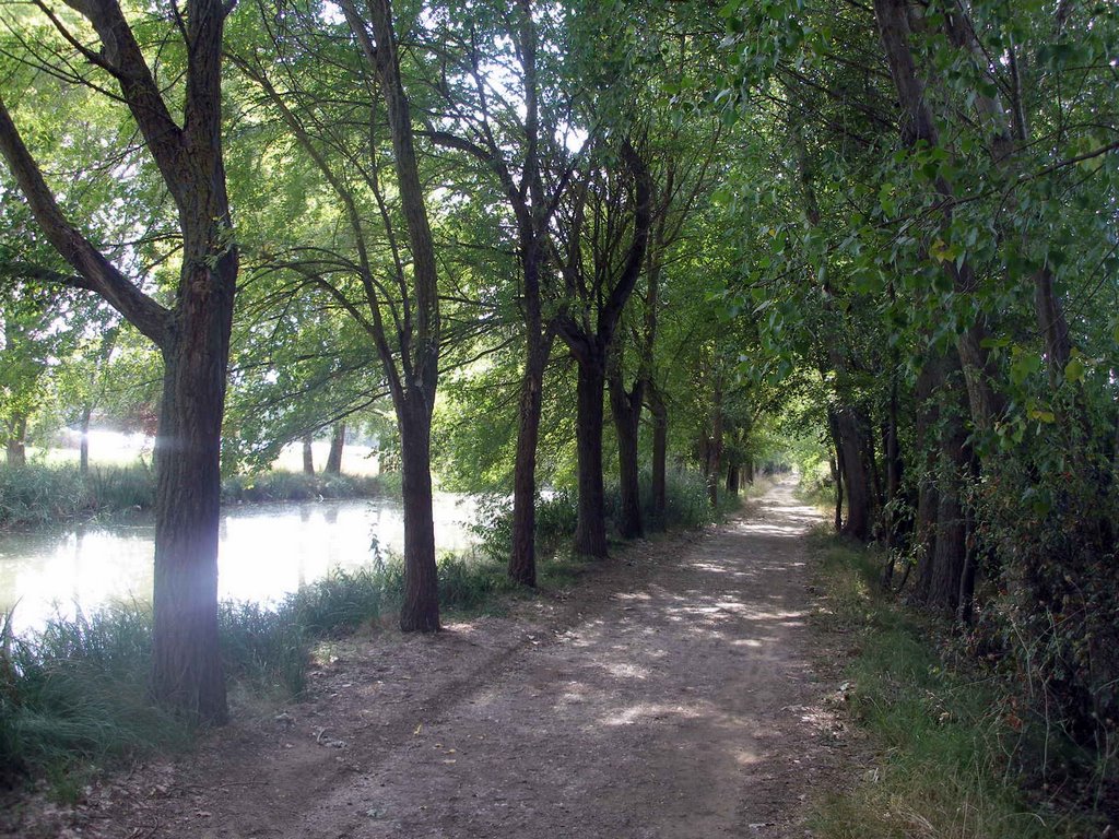 PASEO PARA GASTAR UN BUEN COCIDO PALENTINO 17 by Alfonso Somoza de la…