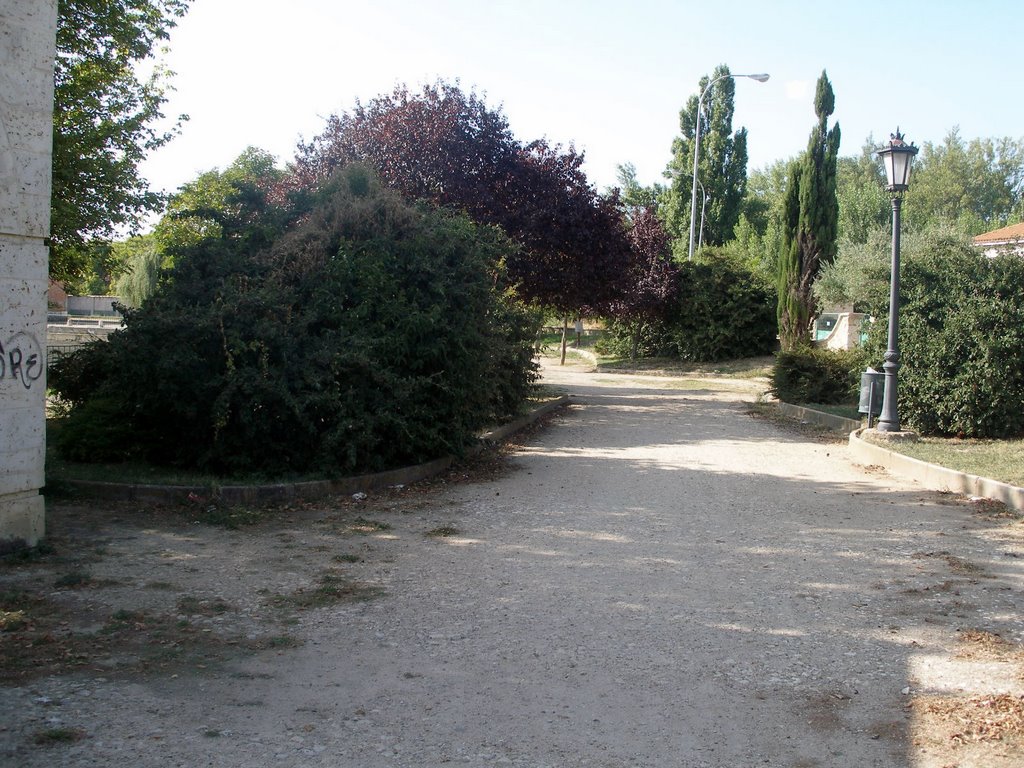 PASEO PARA GASTAR UN BUEN COCIDO PALENTINO 105 by Alfonso Somoza de la…