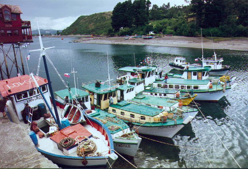 Les bateaux de peche by claude marceluc