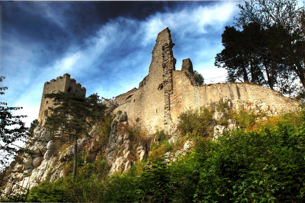 Ruine Weißenstein by Horst Reisinger