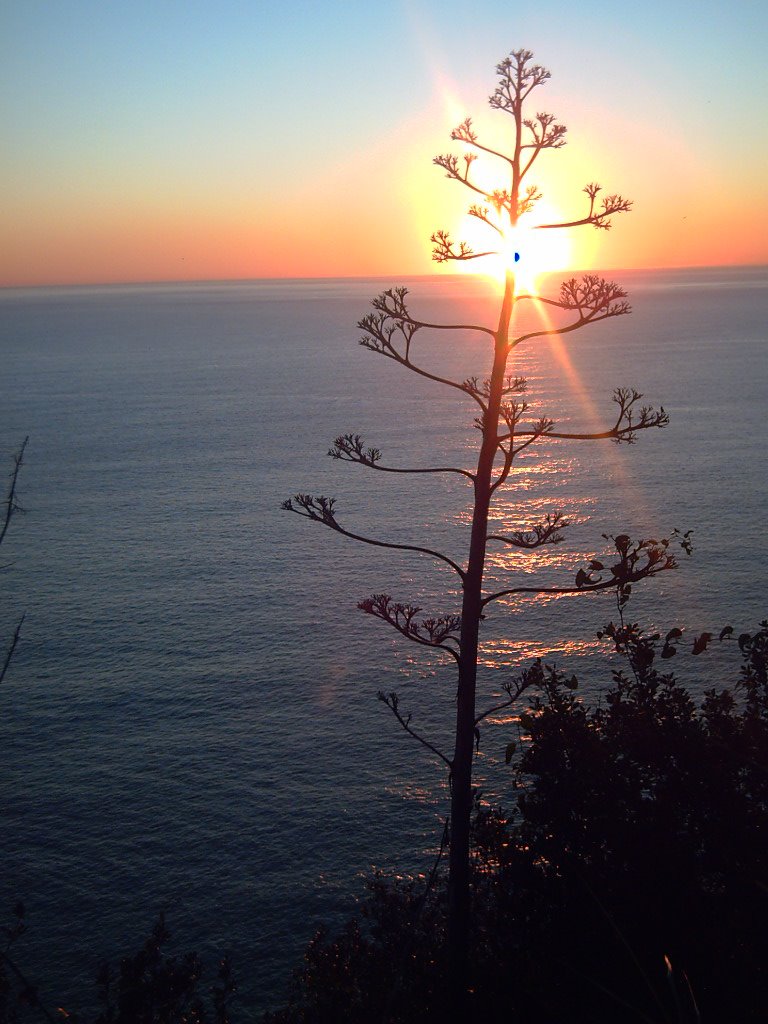 Tramonto cinque terre by Andrea Pogez