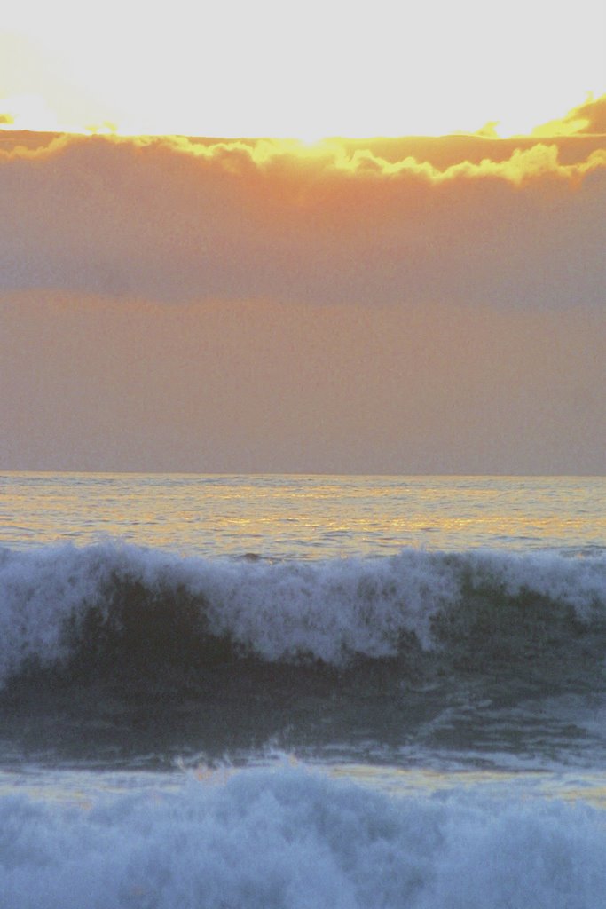 Pessegueiro. Portugal. by Valentin Enrique Fer…