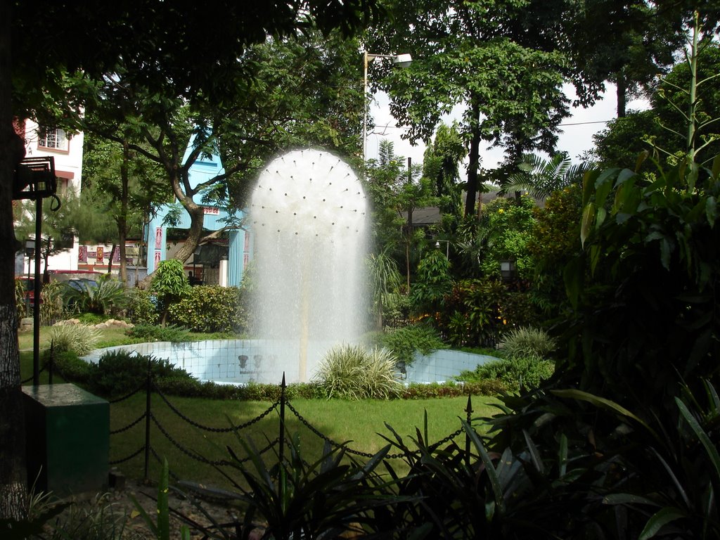 FOUNTAIN AT GARIAHAT ROAD, KOLKATA by Ramesh Summan